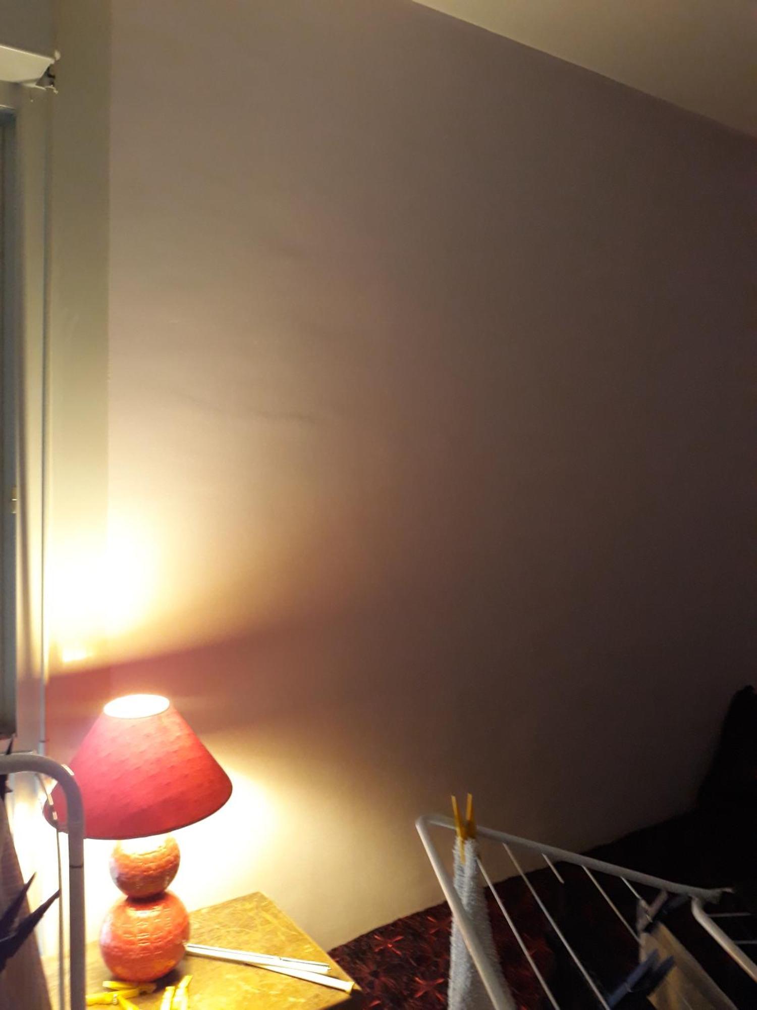 Flore Appartement
